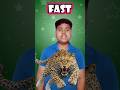 Learn Opposites with Fun | Fast..Fast..Fast | #shorts #youtubeshorts #viral