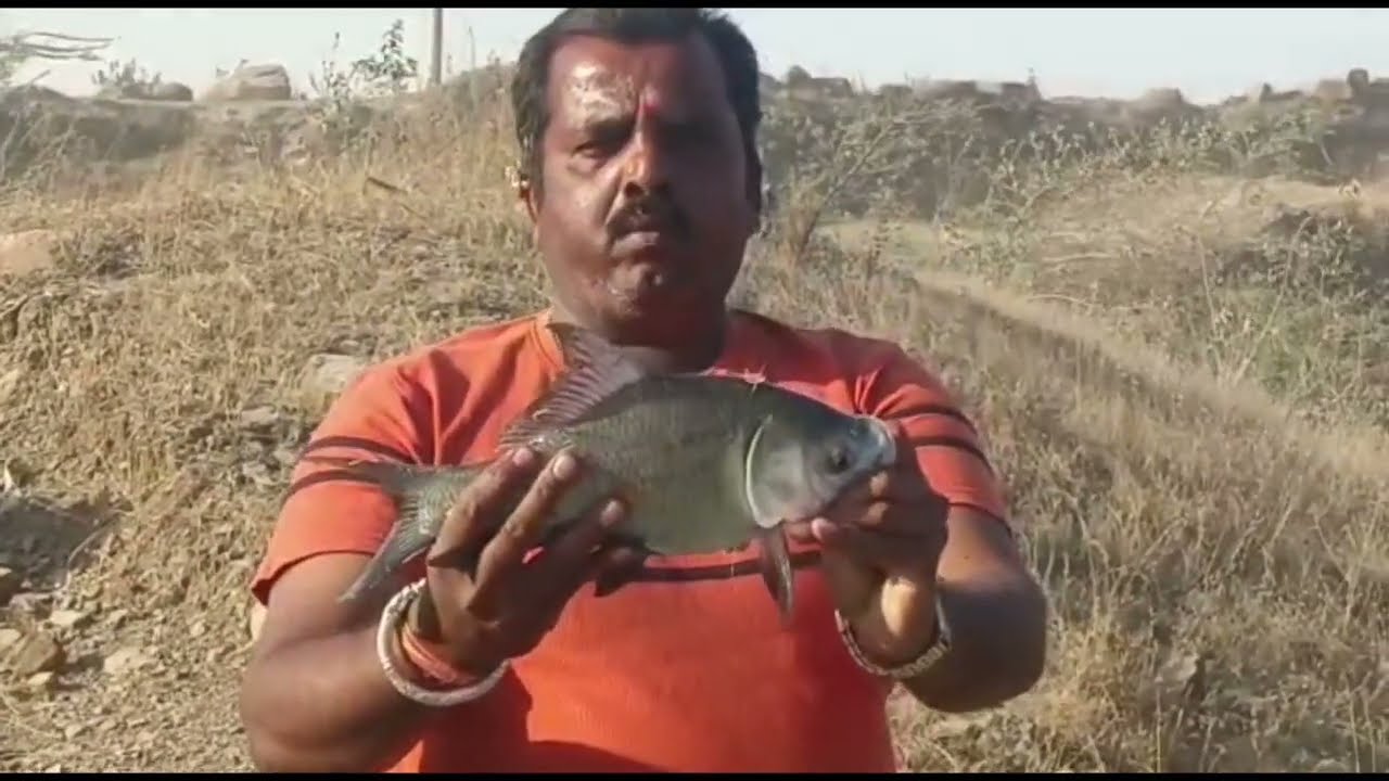 कटला फिश पकडण्याची वेगळी पद्धत