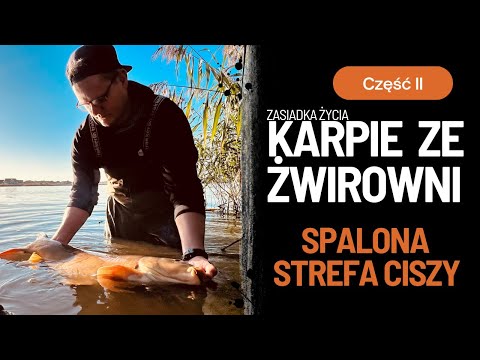 Wideo: Która strefa jest zwęglona?