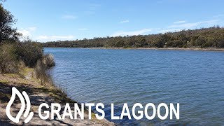 Grants Lagoon Camping Area - Bay of Fires, Tasmania by Live2Camp 209 views 1 year ago 2 minutes, 17 seconds