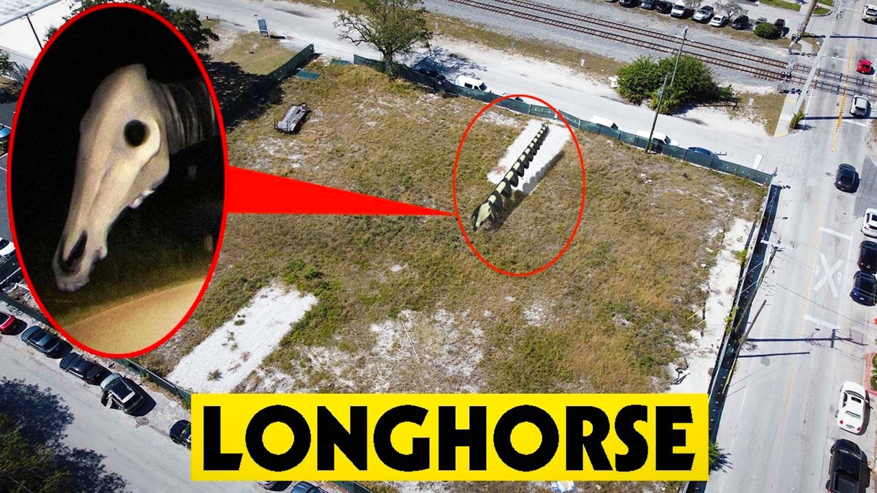 DRONE CATCHES LONG HORSE & SHORT HORSE TREVOR HENDERSON IN REAL LIFE!