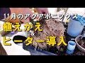 野菜ベッドの植え替えと鯉ヒーター【11月のアクアポニックス】/Vegetable bed replanting and carp heater [November aquaponics]