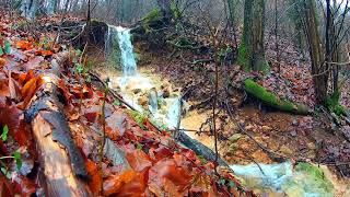 Dreams the gushing Stream