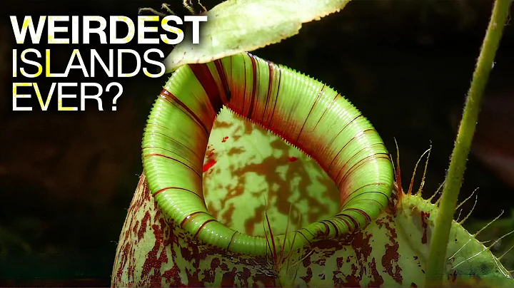 World’s Strangest Islands | Southeast Asia