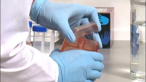 Thermo Scientific Slide-A-Lyzer G2 Dialysis Cassette Product Demo