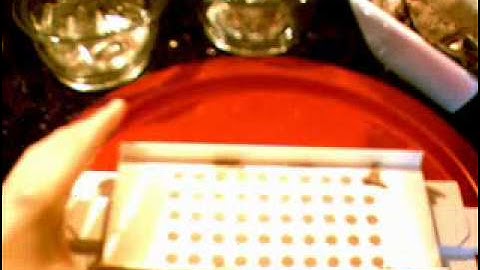 Cap-M-Quik Capsule Filling Machine | Herb Caps Maker | Filler Kit