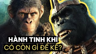 Review Phim Kingdom Of The Planet Of The Apes Hành Tinh Khỉ Vương Quốc Mới