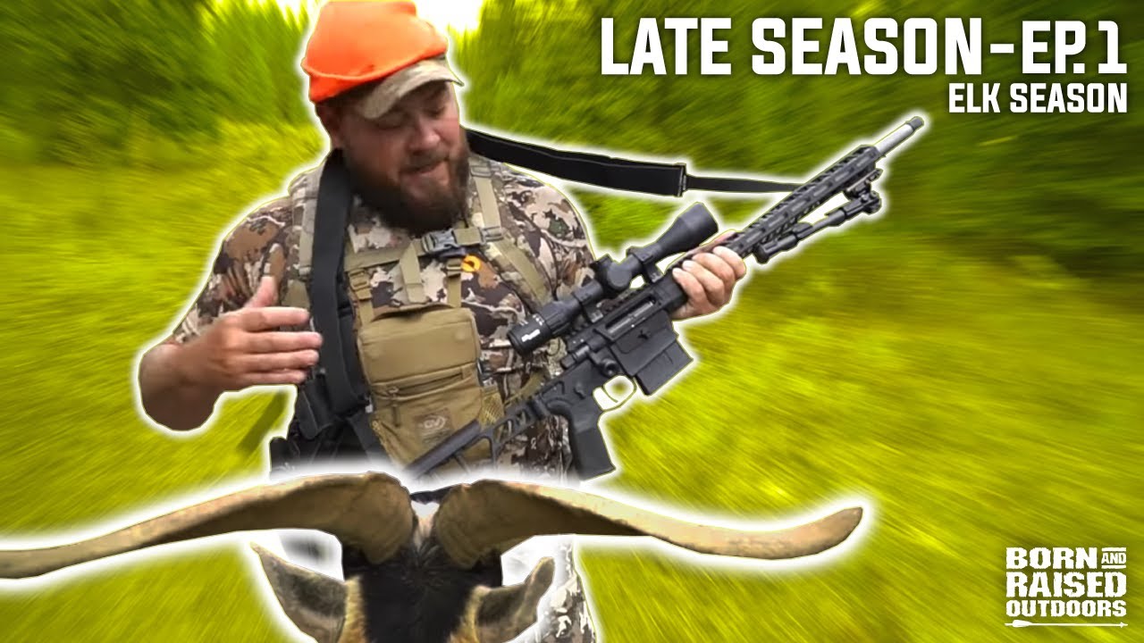 Hunting with GIANT Pack Goats! Hunting with GIANT Pack Goats!