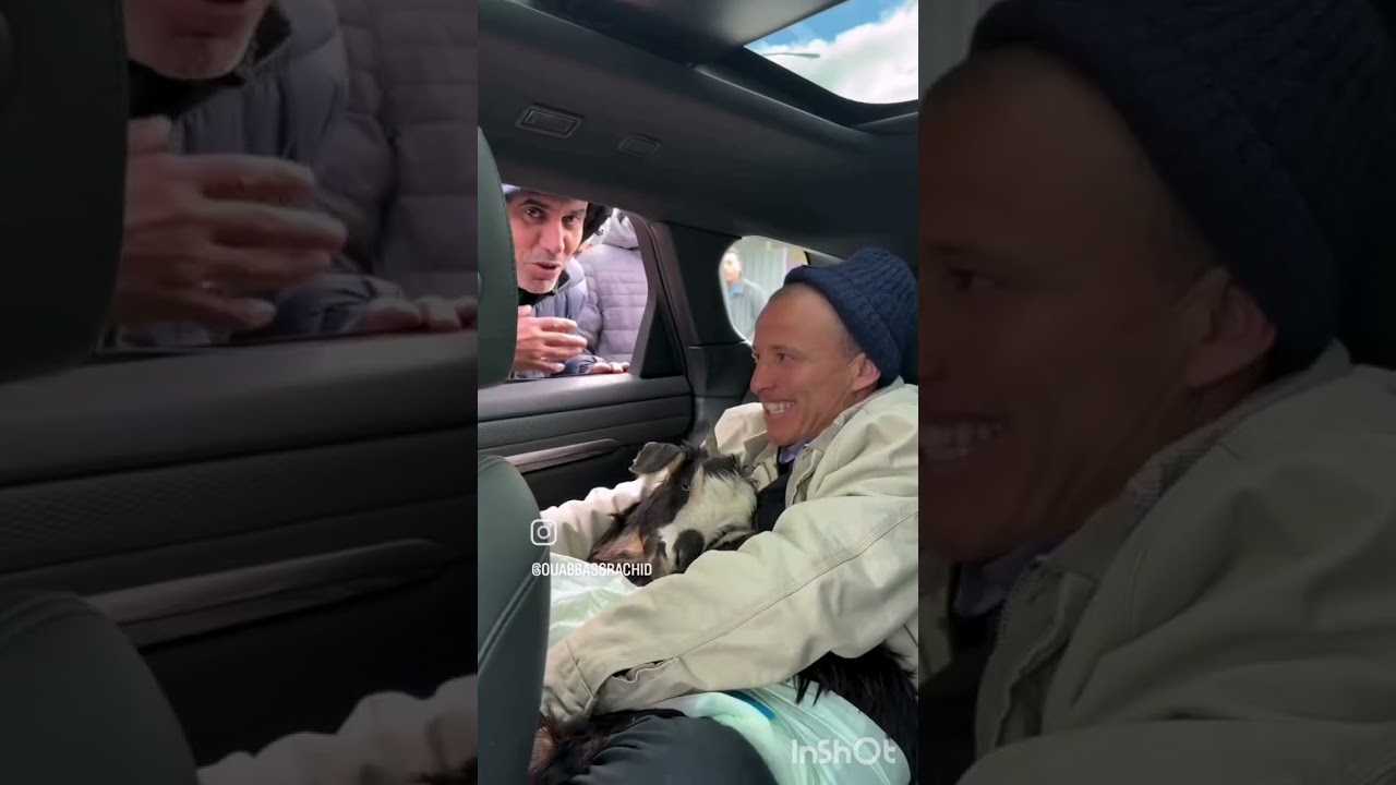 تشوف لِيا رشيد شرات ليه خربوشة 🐐سباط👞 يستاهل سي رشيد قلب بيض🤍