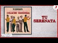 Diomedes Díaz, Colacho Mendoza - Tu Serenata (Cover Audio)