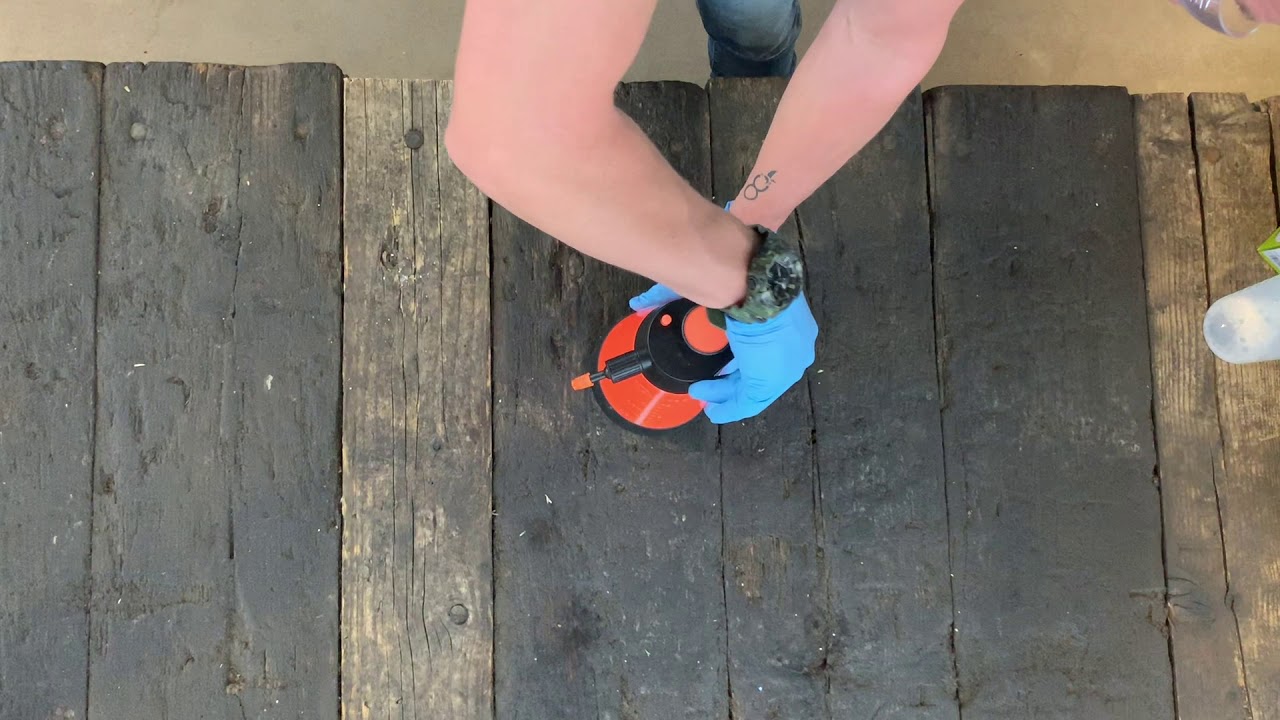 PH Neutral Cleaner - Bioshield