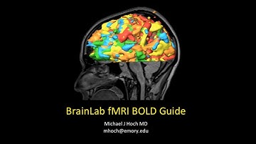 Functional MRI (fMRI) Brainlab Processing Guide