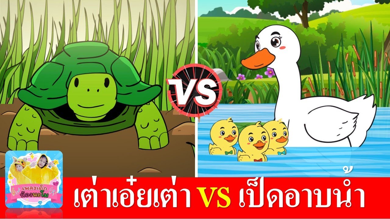 เพลงเต่า vs เพลงเป็ด | เพลงเด็กในตำนาน สื่อการเรียนรู้ เรื่องสัตว์ | เป็ดอาบน้ำในคลอง | เต่าเอ๋ยเต่า