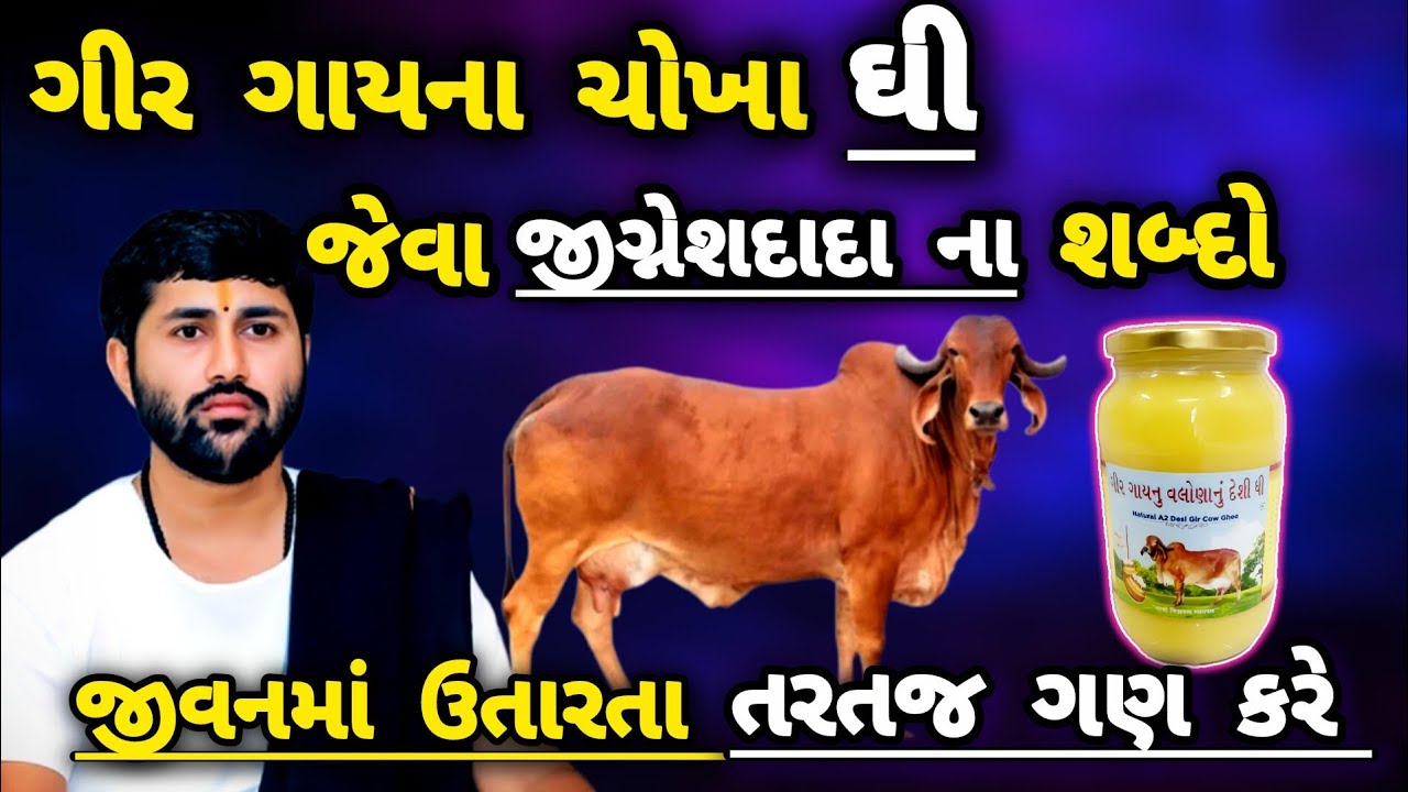 જીવનમાં શાંતિ મેળવવા માટે જીજ્ઞેશદાદા ના આ શબ્દો જરૂર જીવનમાં ઉતારો❤️