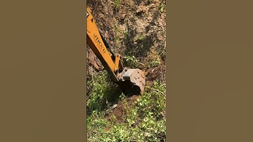 Jcb 3dx digging and remove  grass #jcb3dx #jcb #jcbcartoon #jcbstunt #jcbtractor #jcbbackhoe #jcb3cx