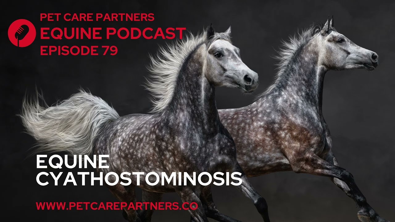 EP 79: Cyathostominosis in Horses: Diagnosis, Treatment & Prevention | Pet Care Partners