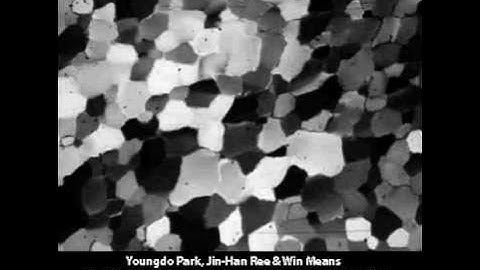 Nearly identical rates of subgrain boundary migration across grain boundaries (SUNY)