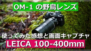 OM-1 LEICA 100-400mm Impressions and Screen Captures - YouTube