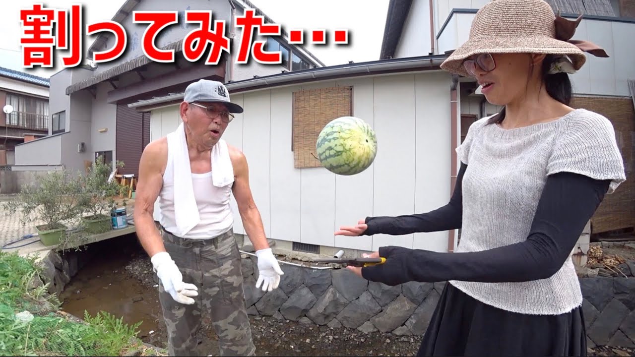 初めて育てたスイカを収穫して食べてみたら…