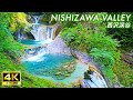 【4K Japan Walk】Nishizawa Valley | Walking while enjoying one of the most beautiful valleys in Japan