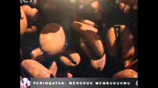 Download lagu RCTI Djarum Black 00 28