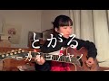 とがる - カネコアヤノ(cover) English lyrics