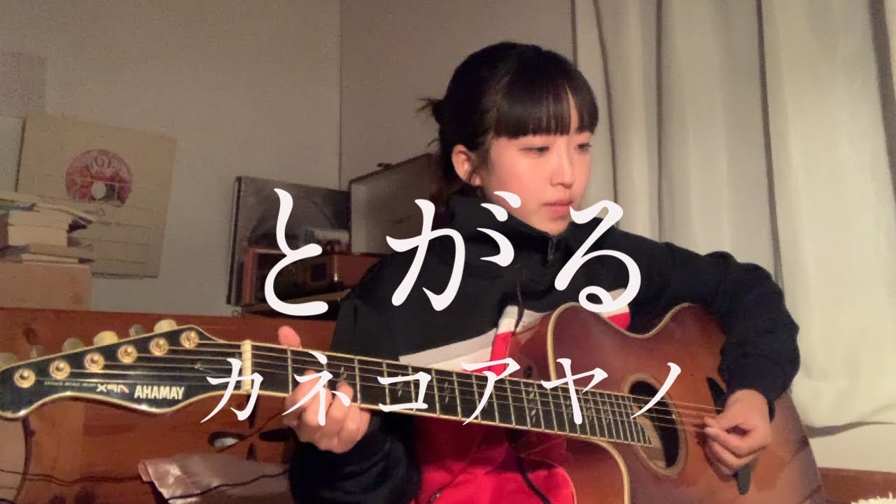 とがる - カネコアヤノ(cover) English lyrics - YouTube