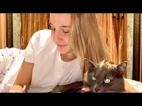 Josephine & Cat | Short film
