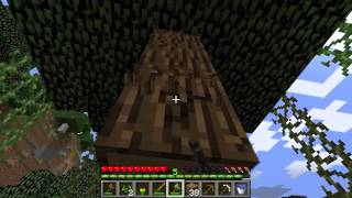 Minecraft #4 – Ligno kaj semoj – Esperanto