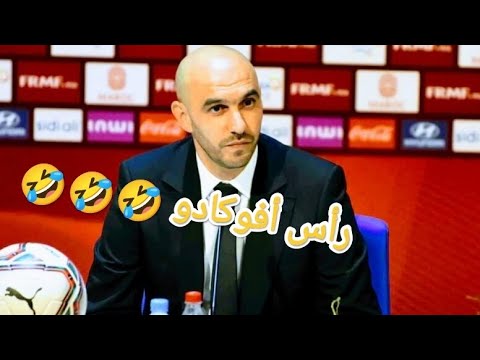 تصريح وليد الركراكي المضحك عن رأس الأفوكادو  