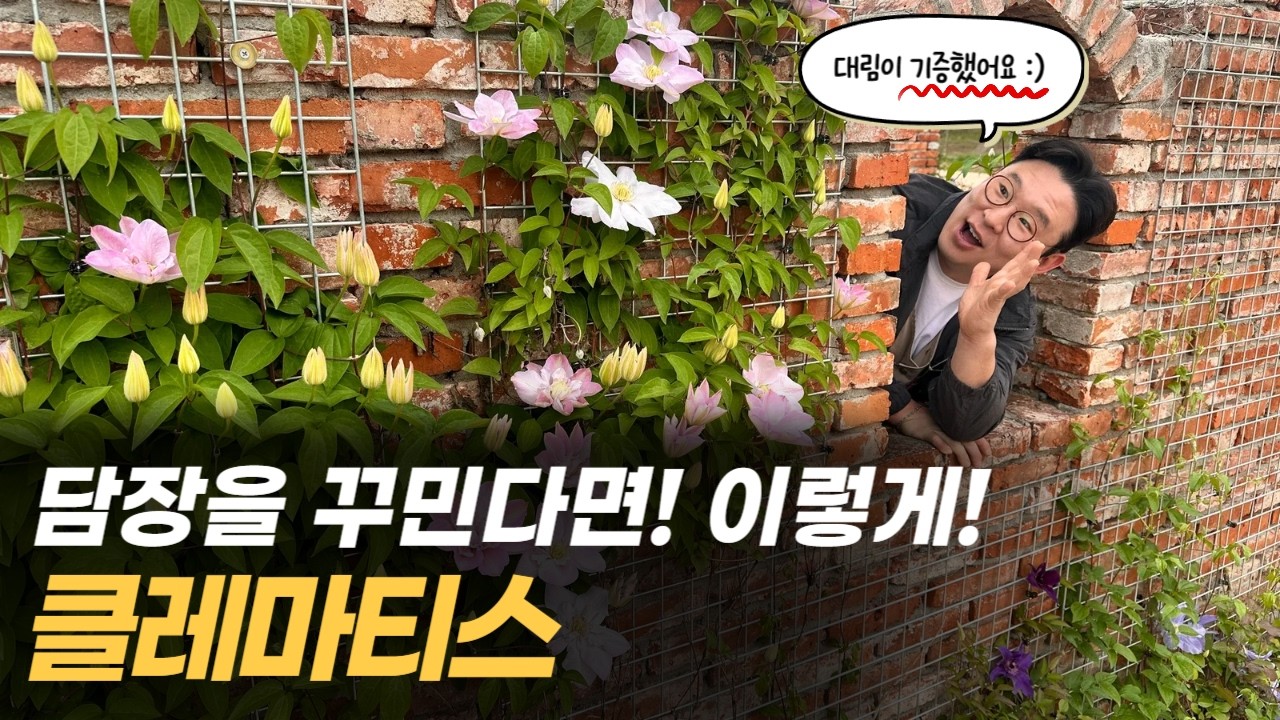 국립세종수목원 담장정원 우리나라 최초의,최대의 으아리속 주제정원에 다녀왔습니다🤗