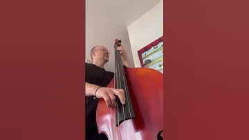 Peter Infeld strings - Double bass string test