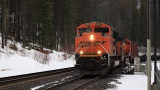 Eastbound BNSF Oil Train at Essex, Montana