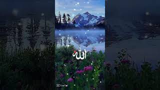 lvtemp a32ad27c 6edf 4c36 a112 659f2a9e0b9f৭