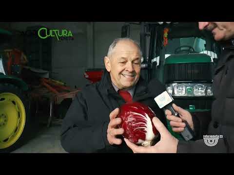 AGRICULTURA VENETA | 23/12/2023
