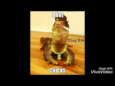 lizard skin grips Sharptooth Has Fun With His Food