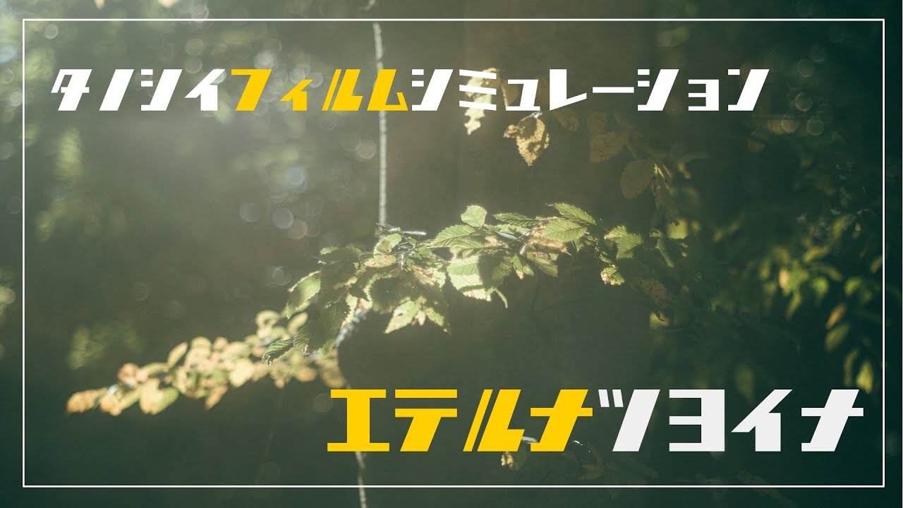 エテルナ強くね??最近のFUJIFILMについて思うとこを話ながらX-H2と