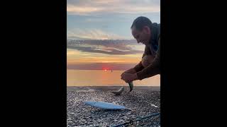 IMG 4972