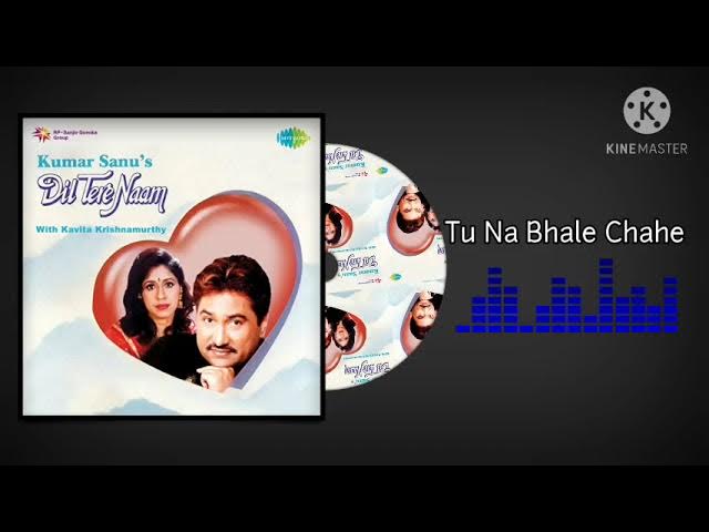 Tu Na Bhale Chahe Mujhe|Kumar Sanu|Rare Song|Koto Dur Chole Elam|Dil Tere Naam|90s Melodies