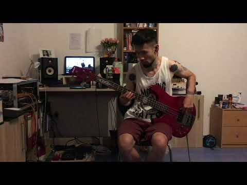 starlight muse bass cover