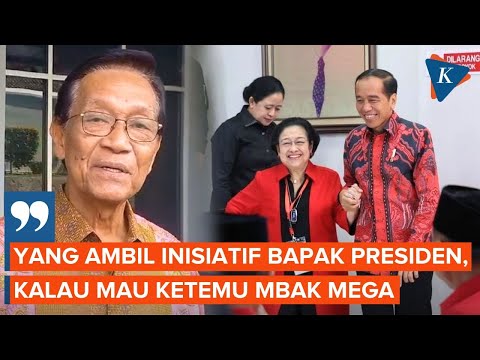 Sultan HB X Mengaku Diminta Jokowi Jembatani Pertemuan dengan Megawati