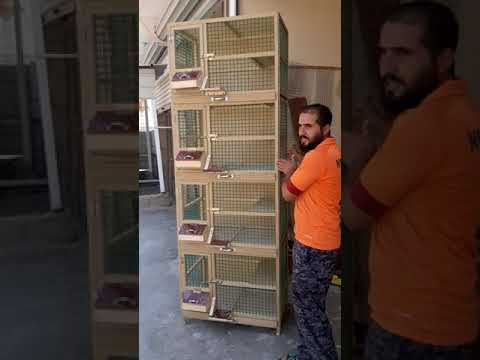 شغل اليوم خانات ام ٤ إلى أحد الاخوه الجنايه في النجف الاشرف رقم الهاتف ٠٧٧١١٣٧٥٥٩٧ ٠٧٨١٢٢٢٢٢٣٩