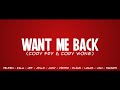Want Me Back - Cody Fry feat. Cory Wong cover