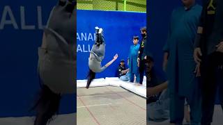 Cute angel filp😱😱#fyp #tranding#reaction#foryou #viralvideo#youtubeshorts #viralshorts#viral#viral