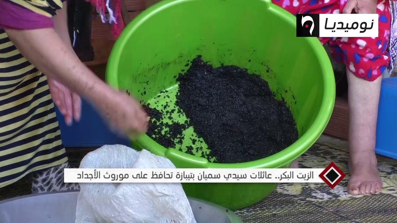 الزيت البكر.. عائلات سيدي سميان بتيبازة تحافظ على موروث الأجداد