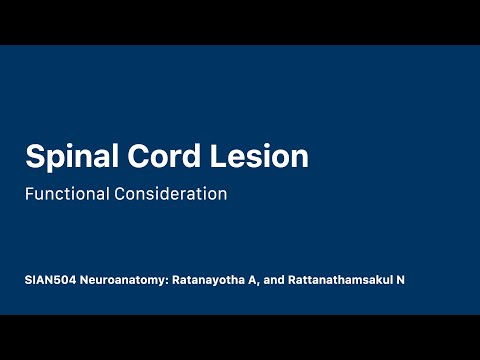 Spinal Cord Lesions