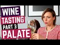 Wine Tasting: PALATE (What You Can Tell About the Wine by Tasting It)