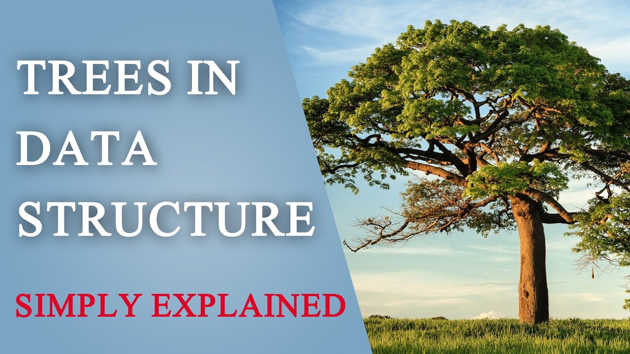 Trees in Discrete / Data Structure | DSA - YouTube