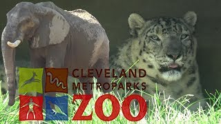 Cleveland Metroparks Zoo Tour & Review with The Legend