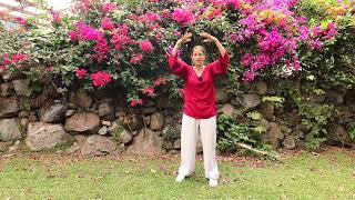 Celebrity The Meridians and How They Flow Wealth